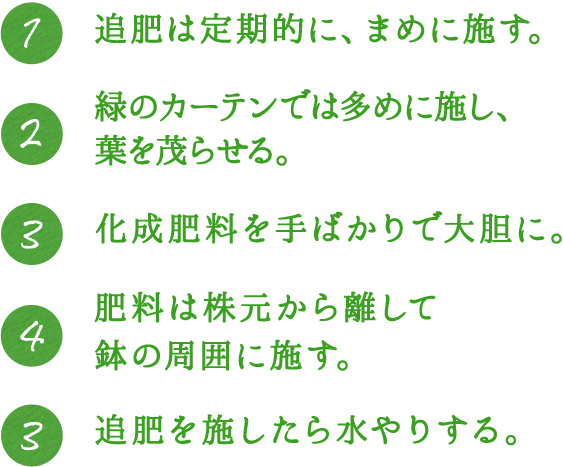1.追肥は定期的に、まめに施す。 2.緑のカーテンでは多めに施し、葉を茂らせる。 3.化成肥料を手ばかりで大胆に。 4.肥料は株元から離して鉢の周囲に施す。 5.追肥を施したら水やりする。