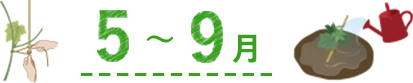 5~9月