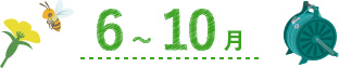 6~10月