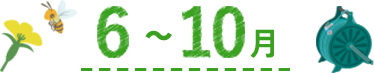 6~10月