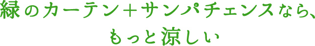 緑のカーテン+サンパチェンスなら、もっと涼しい