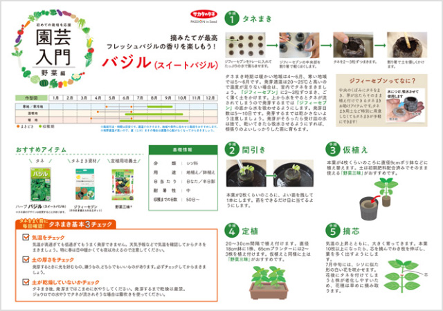 バジル栽培の解説イメージ画像