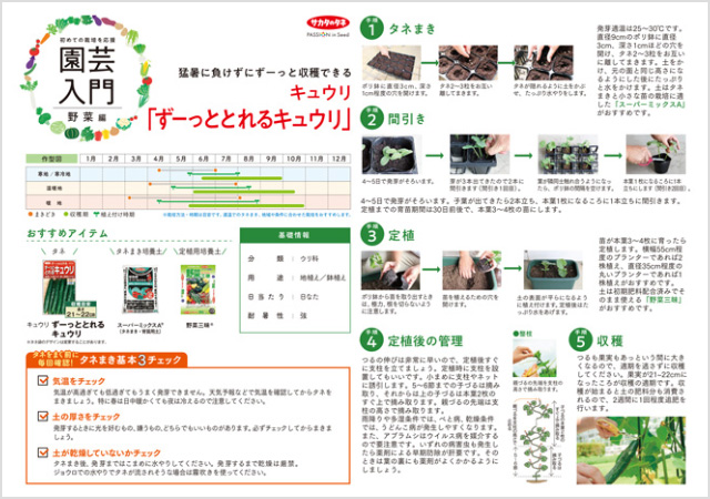 キュウリ ずーっととれるキュウリ栽培の解説イメージ画像