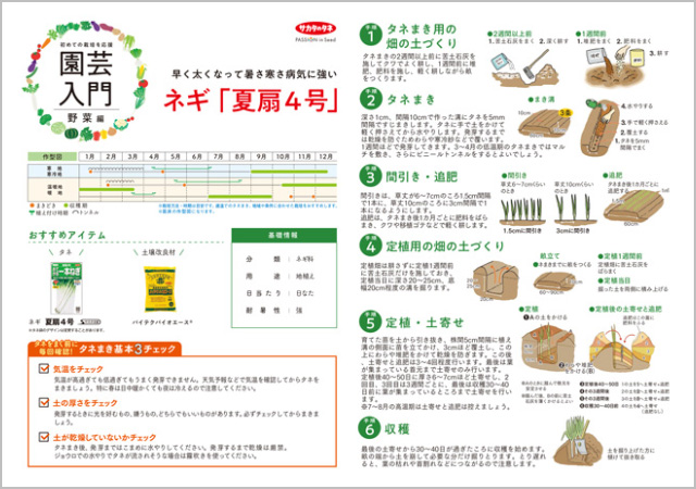 ネギ 夏扇4号栽培の解説イメージ画像