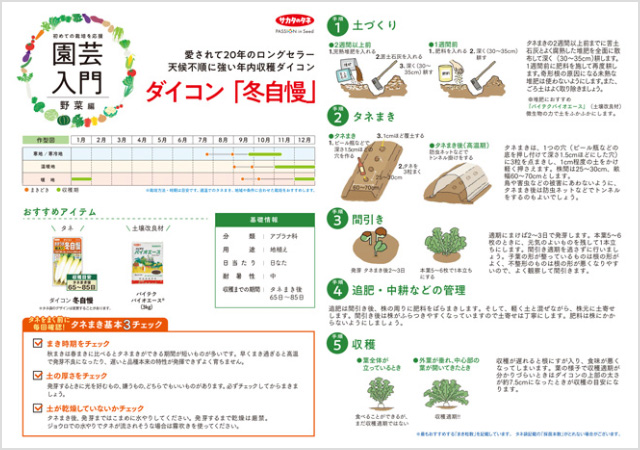 ダイコン 冬自慢栽培の解説イメージ画像