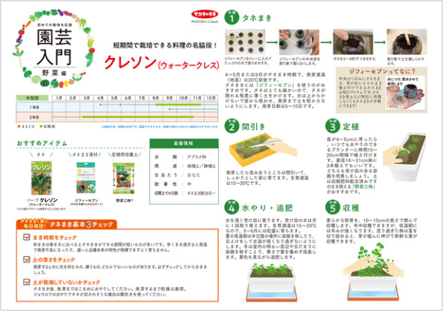 クレソン ウォータークレス栽培の解説イメージ画像