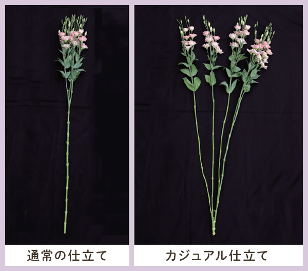 カジュアル仕立ての比較写真