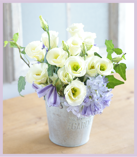 トルコギキョウ ソロの写真