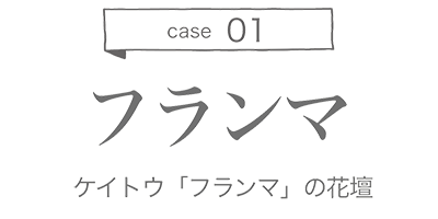 case 01 ケイトウ「フランマ」の花壇