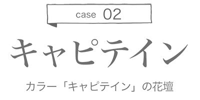 case02 カラー「キャピテイン」の花壇
