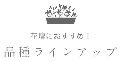 草花が植えてあるプランターのイラスト 花壇におすすめ！ 品種ラインアップ