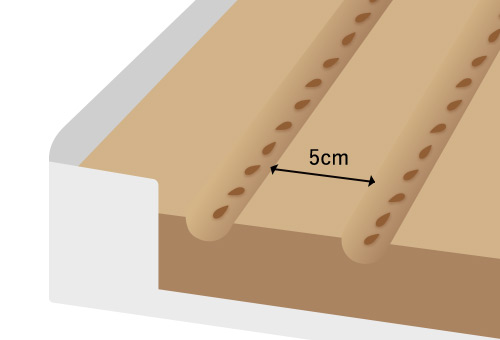 種まき・発芽までの管理 5cm間隔で溝を作り、種まき