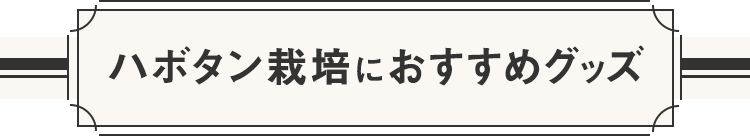 ハボタン栽培におすすめグッズ