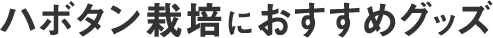 ハボタン栽培におすすめグッズ
