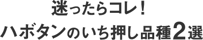 迷ったらコレ!ハボタンのいち押し品種2選