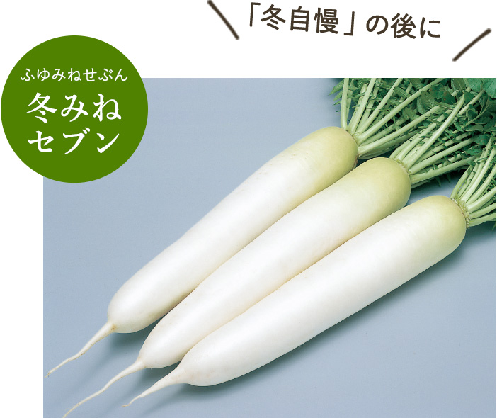 冬みねセブン【冬自慢の後に】