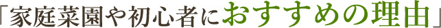 家庭菜園や初心者におすすめの理由