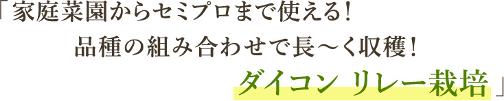 「家庭菜園からセミプロまで使える！品種の組み合わせで長～く収穫！ダイコン リレー栽培」