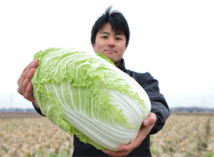 2.生育旺盛！大きく育つ