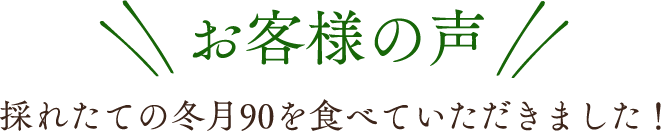 お客様の声 採れたての「冬月90」を食していただきました!