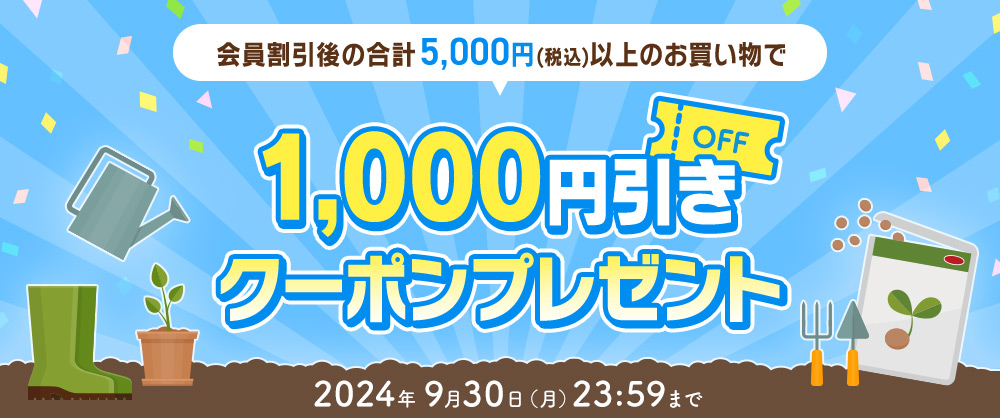 5,000円以上で使える 1,000円引きクーポンプレゼント!