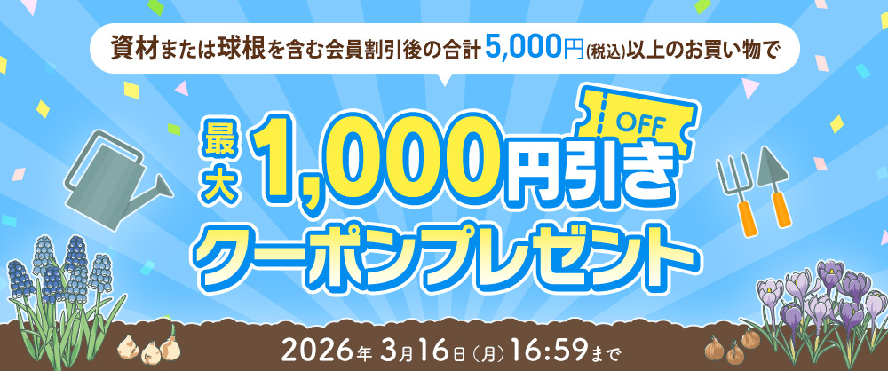 資材、または球根を含む5,000円以上で最大1,000円引きクーポンプレゼント!