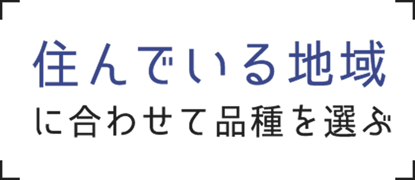 住んでいる地域に合わせて品種を選ぶ