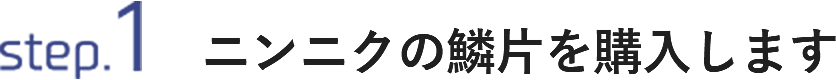 STEP1 ニンニクの鱗片（りんぺん）を購入します