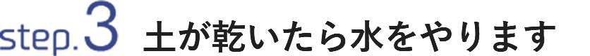 STEP3 土が乾いたら水をやります