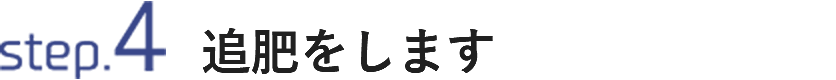 STEP4 追肥をします