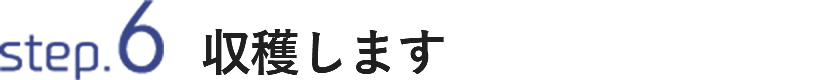 STEP6 収穫します