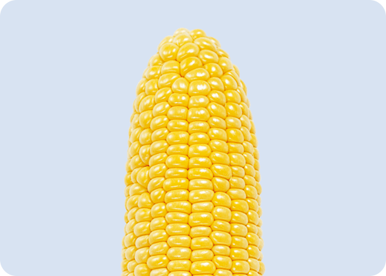 ゴールドラッシュ86の先端