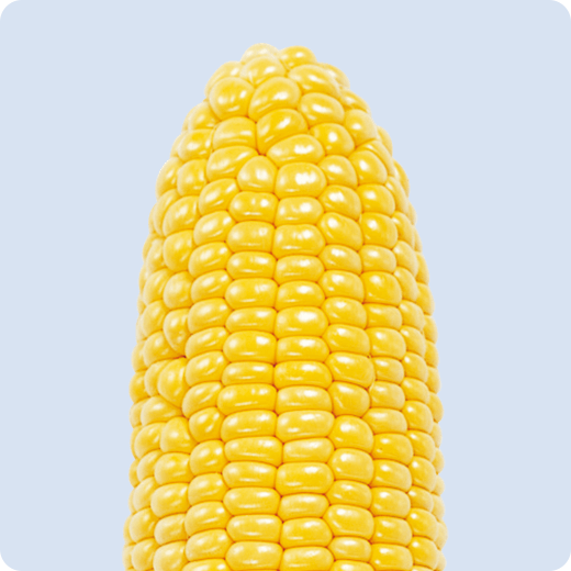 ゴールドラッシュ86の先端