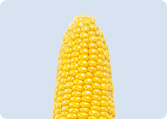 ゴールドラッシュ88&90の先端