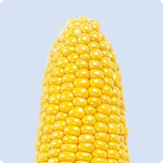 ゴールドラッシュ88&90の先端