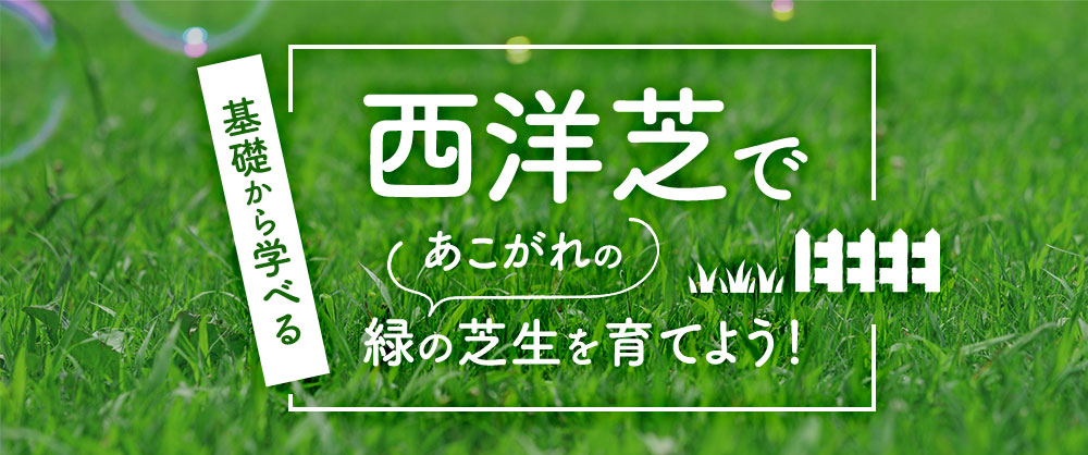 基礎から学べる！芝生でみどりのある暮らしを楽しもう！