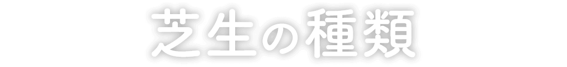 芝生の種類