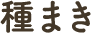 種まき
