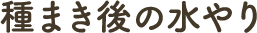 種まき後の水やり