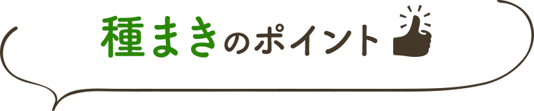 種まきのポイント