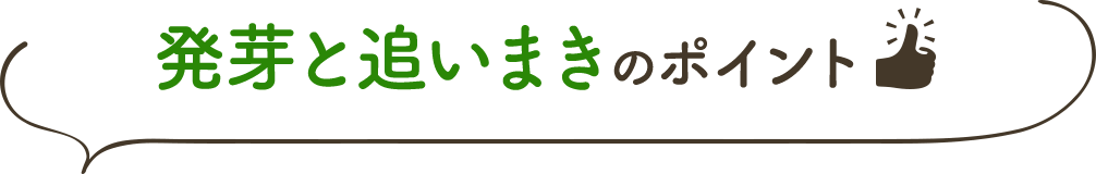発芽と追いまきのポイント