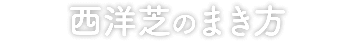 西洋芝のまき方・育て方