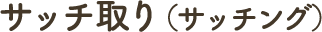 サッチ取り（サッチング）