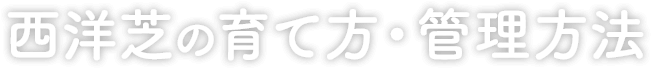 西洋芝の育て方・管理方法
