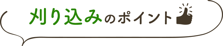 刈り込みのポイント