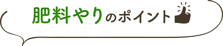 肥料やりのポイント