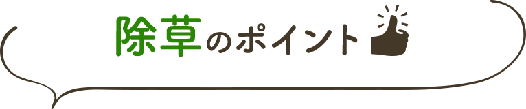 除草のポイント