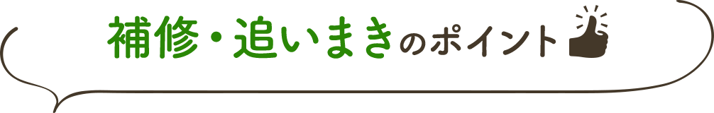 補修・追いまきのポイント