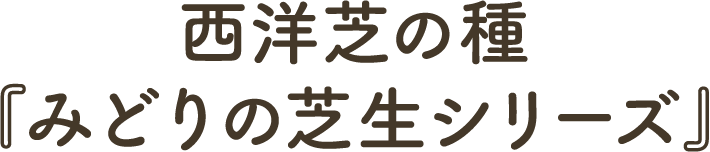 西洋芝の種 『みどりの芝生シリーズ』