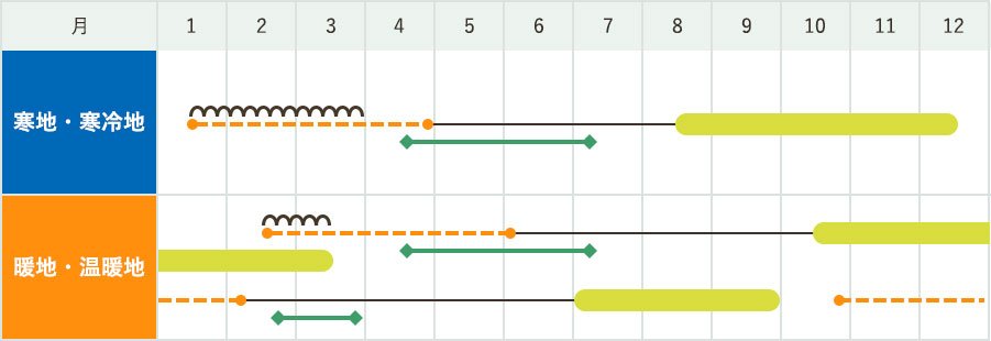 「夏扇パワー」の作型図